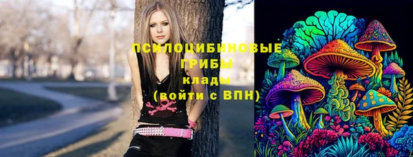 apvp Балахна