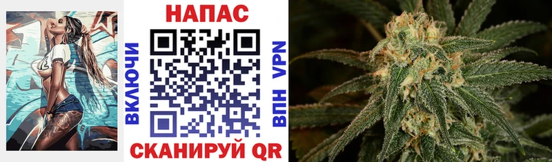 ссылка на мегу tor  где купить наркоту  Заречный  Канабис AK-47 